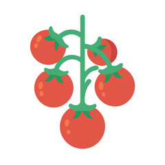 Flat illustration of a branch of red tomatoes