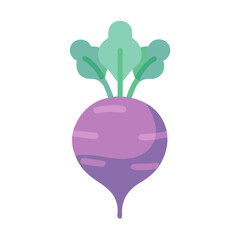 Flat style vector illustration of a purple beetroot