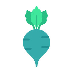 Vibrant teal beet with leaves isolated on black background