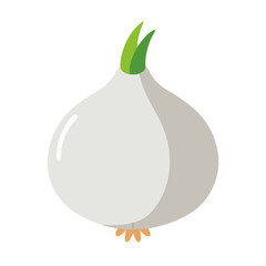 Isolated white onion bulb against a solid black background