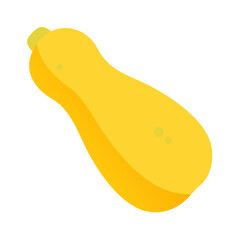 Flat vector butternut squash illustration on black background