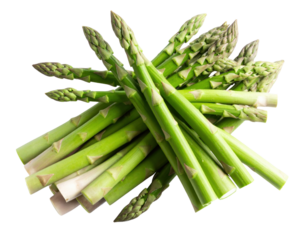 Fresh green asparagus spears bundle with tender tips arranged on transparent background