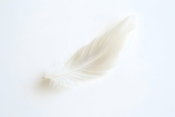 Obraz premium A single white feather rests against a plain white background.