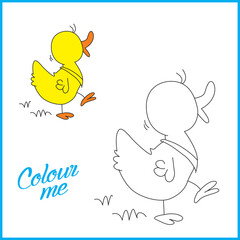 Duck Coloring page , Coloring page for kids, Duck vector illustration - A To Z colouring Pictures