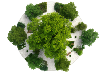 Top view of garden design layout isolated, transparent background.