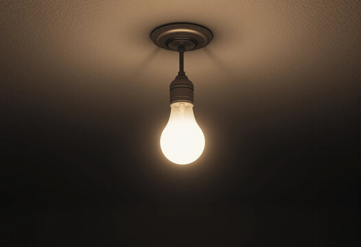 A single light bulb is lit up in a dark room - Powered by Adobe