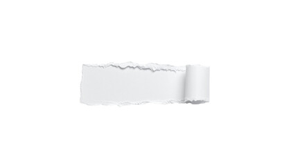 White paper with torn edges on background
