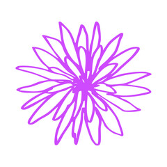 Fototapeta premium purple flower spring sketch element