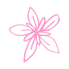 pink flower illustration