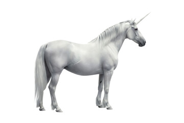  white horse unicorn isolated on the white  background. PNG
