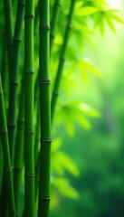 Dense bamboo stalks, vibrant green foliage, bokeh effect, desktop, vertical