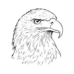 Vintage engraving Eagle retro vector illustration art design.