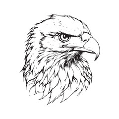 Vintage engraving Eagle retro vector illustration art design.