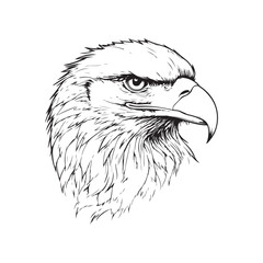 Vintage engraving Eagle retro vector illustration art design.