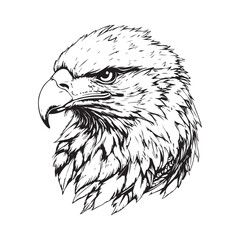 Vintage engraving Eagle retro vector illustration art design.