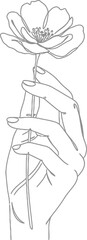 Elegant Line Drawing Hand Holding Flower