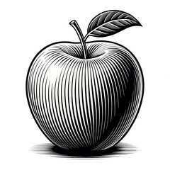 black and white apple line art vector