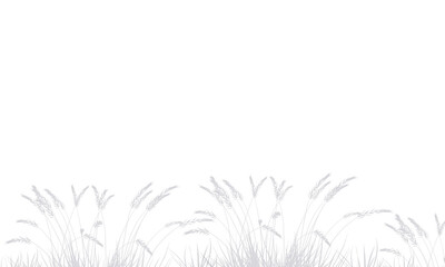 grass and flowers