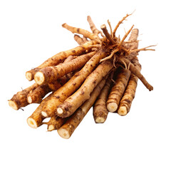 Elecampane Root Benefits Uses and Properties on transparent background