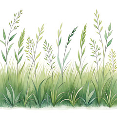 Obraz premium Elegant Clipart Grass Watercolor Meadow Illustration, Tall Blades Swaying Gently
