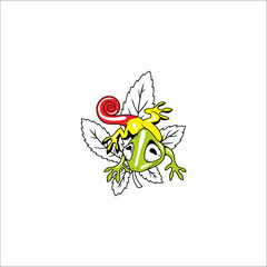 Green frog on leaf with white background. Can be used as graphic design