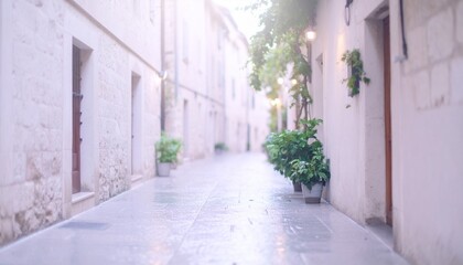 Fototapeta premium 白い石畳の路地、雨上がりの明るい小路
