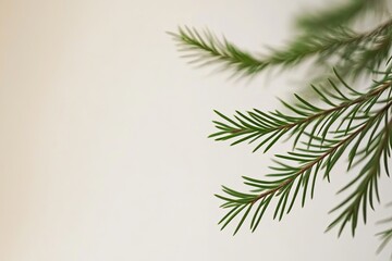 Obraz premium Close-up of delicate green foliage against a light background