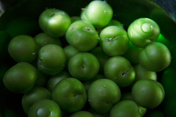 Fresh green plums