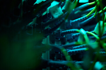 Close-up of network cables interconnected in data center with detailed view of technology equipment creating complex web of connections showing modern infrastructure