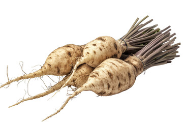 Obraz premium Root vegetables with long, thin roots and a rough, textured surface. Png, Transparent background.
