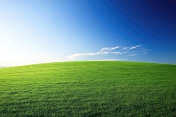 Obraz premium Lush green field under a vibrant sky