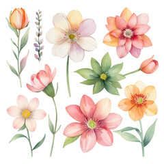 Fototapeta premium Collection of watercolor spring flowers transparent background