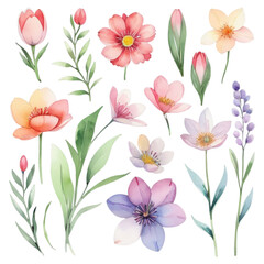 Collection of watercolor spring flowers transparent background