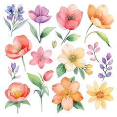 Collection of watercolor spring flowers transparent background