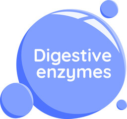 digestive enzymes