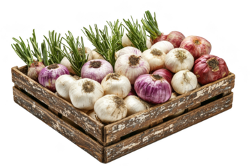 A wooden crate filled with various types of onions and herbs. Png, Transparent background.