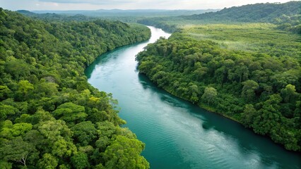 Aerial view of a winding blue river flowing through a dense, vibrant green tropical rainforest landscape under a cloudy sky, showcasing lush jungle foliage and natural beauty.