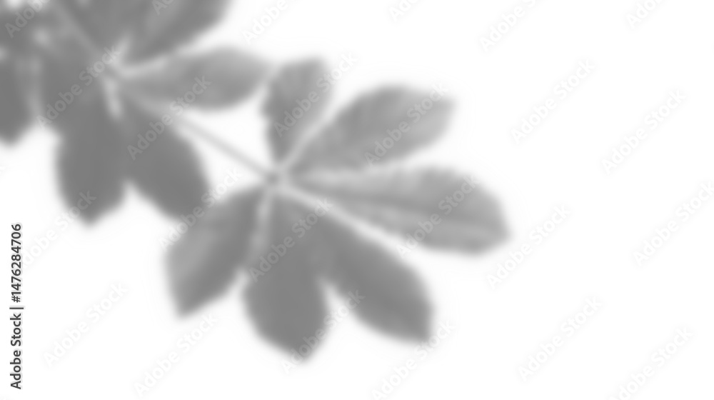Leinwandbilder Leaf shadow overlay effect mockup with blurred leaves and foliage branch creating soft natural look for design backgrounds and creative presentations