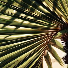 A close-up of a palm tree's vibrant green fronds, showcasing intricate details and spiral pattern, captured with a macro lens and warm natural light.