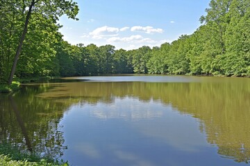 Serene lake nestled in lush greenery (1)