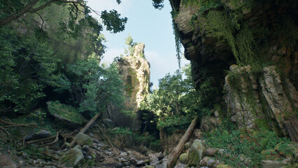 Obraz premium 石だらけのジャングル