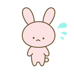 焦るうさぎ