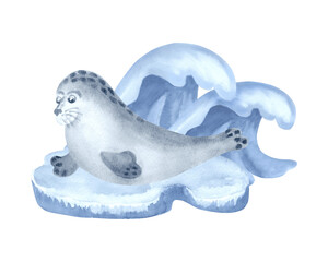 Fototapeta premium Seal sitting on ice floe cute sea character watercolor illustration for baby design. North wild animal isolated. Hand drawn underwater inhabitants of arctic ocean. Marine mammal in kids sketch style.