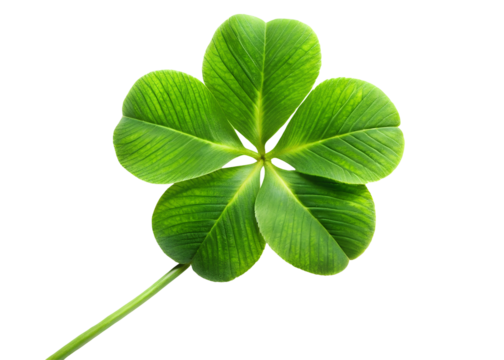 leaf clover clipart png image on transparent background