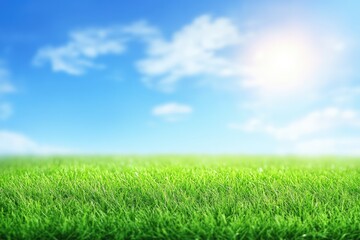 Fototapeta premium Lush green grass under a vibrant blue sky