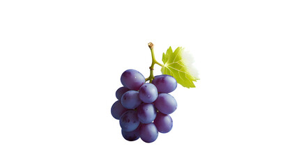 Isolated Glossy Purple Grape with Condensation on Transparent Background