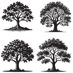 Fig Tree Silhouette set 