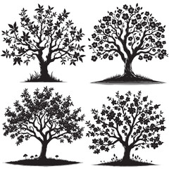 Peach Tree Silhouette isolated on white background
