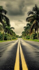 Fototapeta premium Straight Asphalt Road Perspective Lined with Palm Trees Under Overcast Sky in Tropical Location