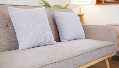 Furniture and Interior Concept Featuring Sofa with Cushions in Cozy Home Living Room for Comfortable and Stylish Decor